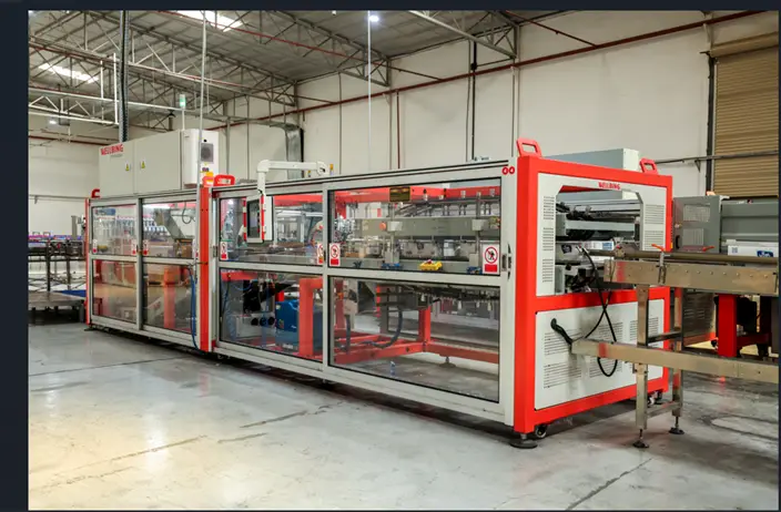 Automatic Wrap Case Packing Machine